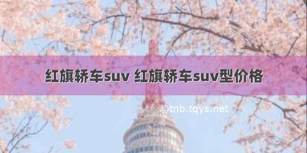 红旗轿车suv 红旗轿车suv型价格