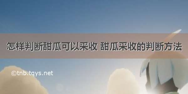 怎样判断甜瓜可以采收 甜瓜采收的判断方法