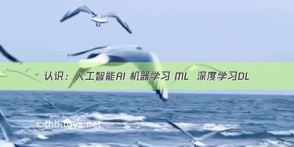 认识：人工智能AI 机器学习 ML  深度学习DL