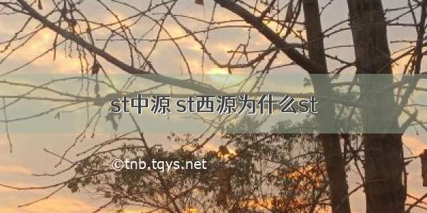 st中源 st西源为什么st