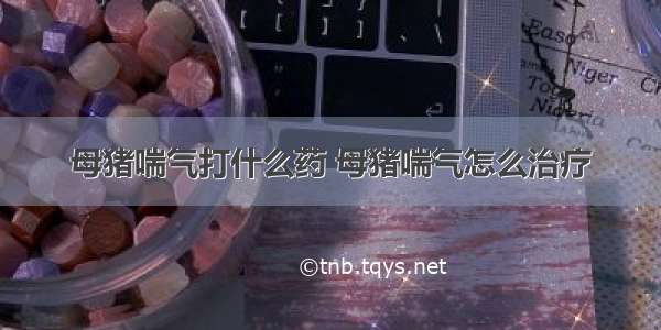 母猪喘气打什么药 母猪喘气怎么治疗