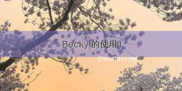 Becky!的使用1