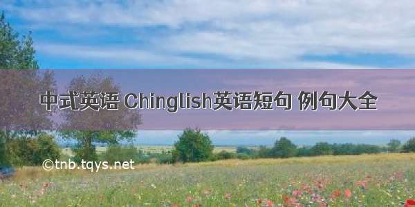 中式英语 Chinglish英语短句 例句大全