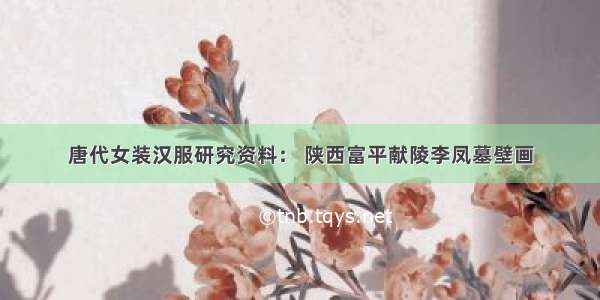 唐代女装汉服研究资料： 陕西富平献陵李凤墓壁画