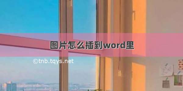 图片怎么插到word里