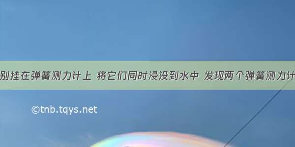 两个物体分别挂在弹簧测力计上 将它们同时浸没到水中 发现两个弹簧测力计的示数的减