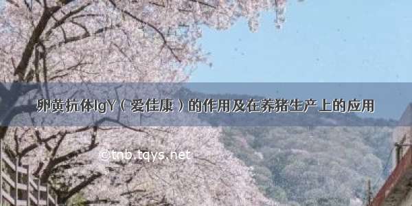 卵黄抗体IgY（爱佳康）的作用及在养猪生产上的应用