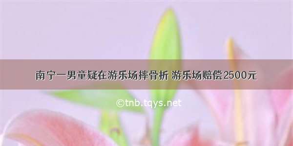 南宁一男童疑在游乐场摔骨折 游乐场赔偿2500元