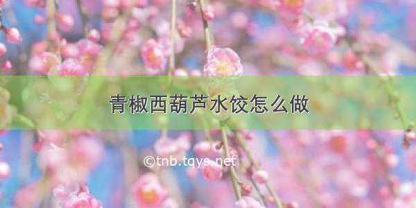 青椒西葫芦水饺怎么做