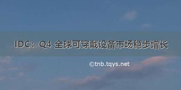 IDC：Q4 全球可穿戴设备市场稳步增长