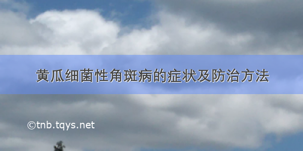 黄瓜细菌性角斑病的症状及防治方法