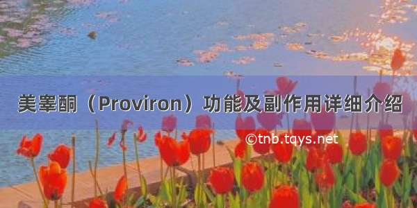 美睾酮（Proviron）功能及副作用详细介绍