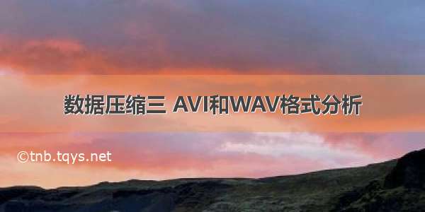 数据压缩三 AVI和WAV格式分析