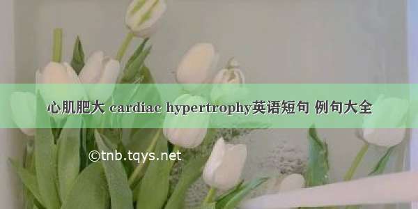 心肌肥大 cardiac hypertrophy英语短句 例句大全