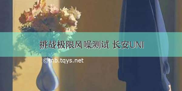 挑战极限风噪测试 长安UNI