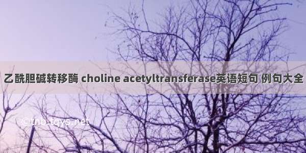 乙酰胆碱转移酶 choline acetyltransferase英语短句 例句大全