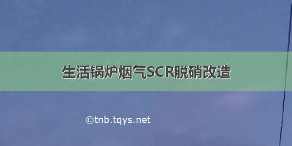 生活锅炉烟气SCR脱硝改造