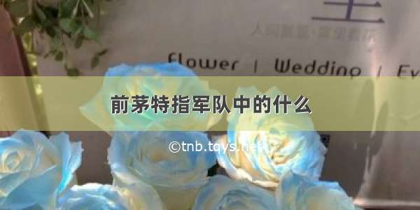 前茅特指军队中的什么