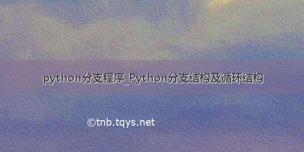 python分支程序_Python分支结构及循环结构