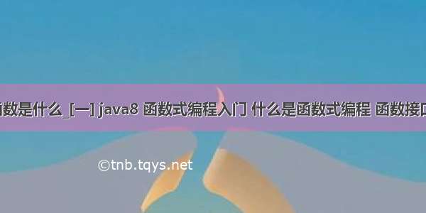 java中函数是什么_[一] java8 函数式编程入门 什么是函数式编程 函数接口概念 流