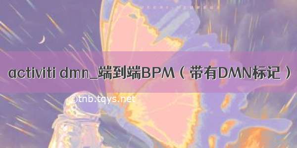 activiti dmn_端到端BPM（带有DMN标记）