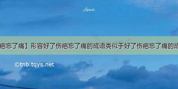 【好了伤疤忘了痛】形容好了伤疤忘了痛的成语类似于好了伤疤忘了痛的成语.谢谢!...