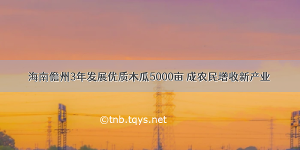 海南儋州3年发展优质木瓜5000亩 成农民增收新产业