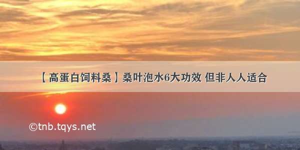 【高蛋白饲料桑】桑叶泡水6大功效 但非人人适合