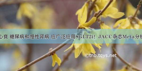 心衰 糖尿病和慢性肾病 应广泛应用SGLT2i！JACC杂志Meta分析