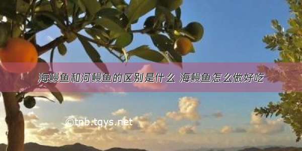 海鳗鱼和河鳗鱼的区别是什么 海鳗鱼怎么做好吃