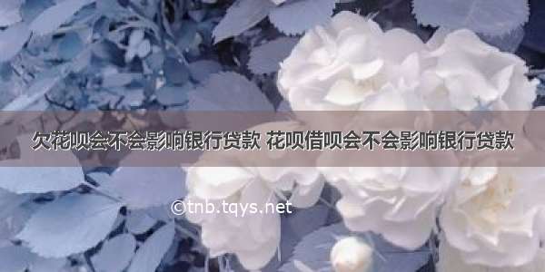 欠花呗会不会影响银行贷款 花呗借呗会不会影响银行贷款