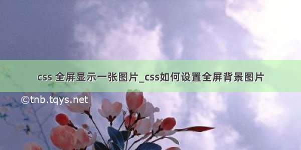 css 全屏显示一张图片_css如何设置全屏背景图片