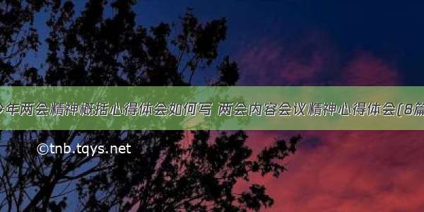 今年两会精神概括心得体会如何写 两会内容会议精神心得体会(8篇)