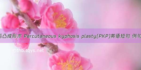 经皮后凸成形术 Percutaneous kyphosis plasty(PKP)英语短句 例句大全