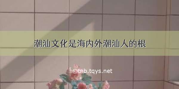 潮汕文化是海内外潮汕人的根