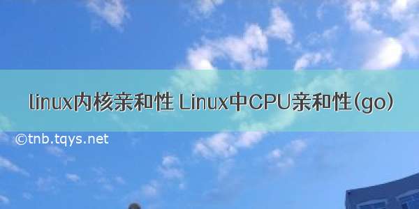 linux内核亲和性 Linux中CPU亲和性(go)