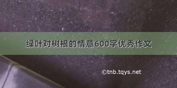 绿叶对树根的情意600字优秀作文