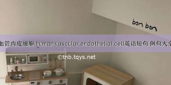 人血管内皮细胞 human vascular endothelial cell英语短句 例句大全