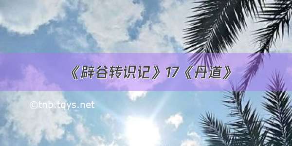 《辟谷转识记》17《丹道》