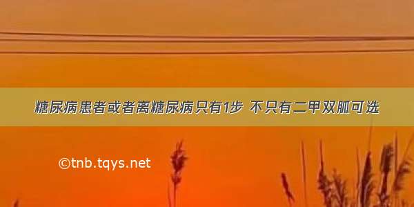 糖尿病患者或者离糖尿病只有1步 不只有二甲双胍可选