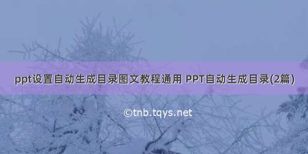 ppt设置自动生成目录图文教程通用 PPT自动生成目录(2篇)