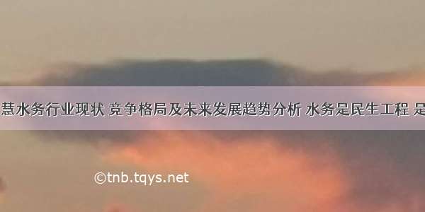 中国智慧水务行业现状 竞争格局及未来发展趋势分析 水务是民生工程 是智慧城