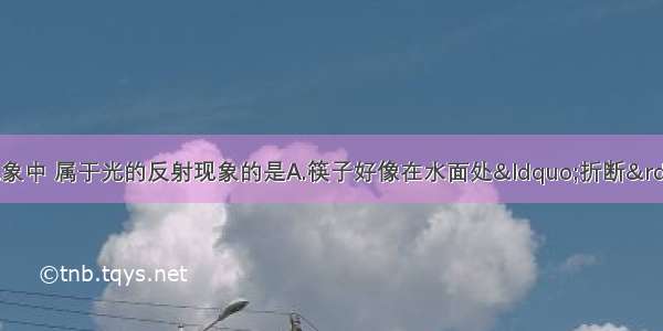 如图所示的四种现象中 属于光的反射现象的是A.筷子好像在水面处“折断”B.放大镜把文