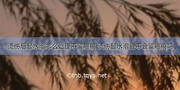 烫伤后起水泡怎么处理不留疤痕 烫伤起水泡会不会留疤痕吗