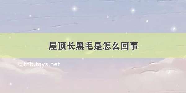 屋顶长黑毛是怎么回事