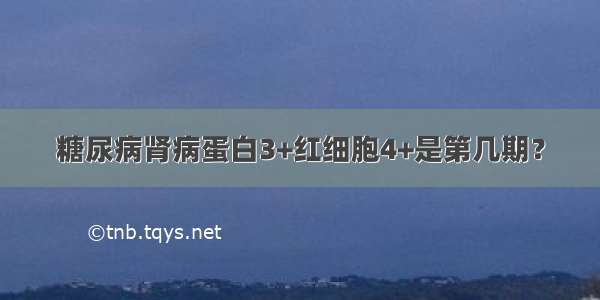 糖尿病肾病蛋白3+红细胞4+是第几期？