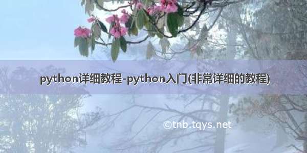 python详细教程-python入门(非常详细的教程)