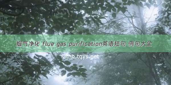 烟气净化 flue gas purification英语短句 例句大全