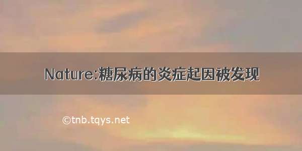 Nature:糖尿病的炎症起因被发现