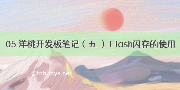 05 洋桃开发板笔记（五 ） Flash闪存的使用